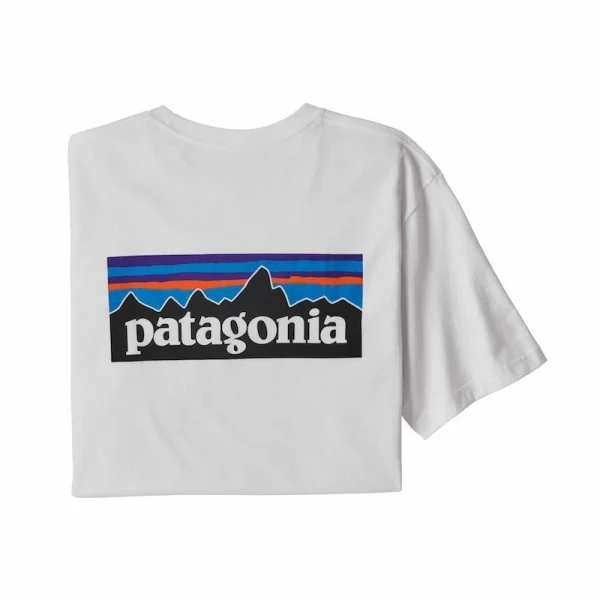 Coupon ⭐ Patagonia P-6 Logo Responsibili-Tee – T-shirt homme 🧨 Paris 5