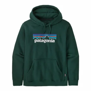 prix abordable Acheter ⭐ Patagonia P-6 Logo Uprisal Hoody – Sweat à capuche homme 💯 8